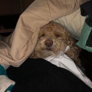 Meet your Posher, Katy